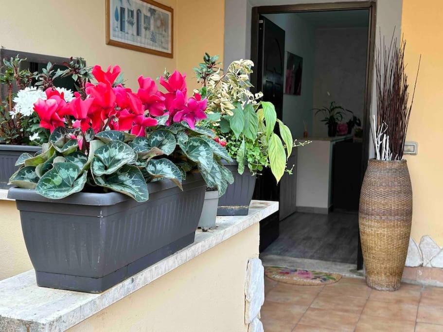Domus Acquedotto Apartment โรม ภายนอก รูปภาพ